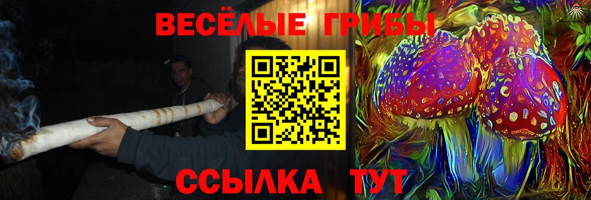 Ижевск  Псилоцибиновые грибы мицелий  Вход с VPN 